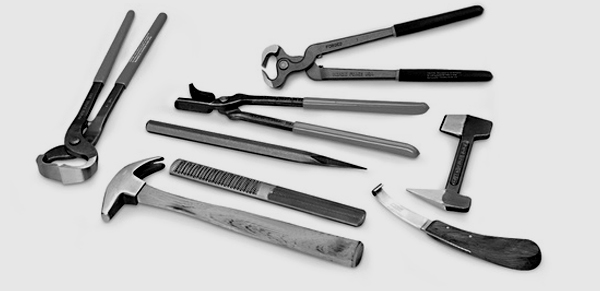 Veterinary Instruments