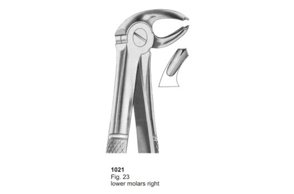 Extracting Forceps